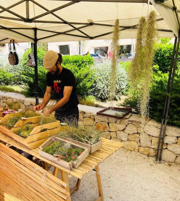Apartamento Mediterraneo Entre Vinedos Jesus Pobre エクステリア 写真