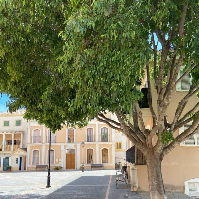 Apartamento Mediterraneo Entre Vinedos Jesus Pobre エクステリア 写真