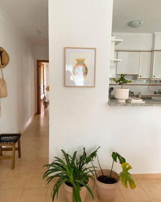 Apartamento Mediterraneo Entre Vinedos Jesus Pobre エクステリア 写真